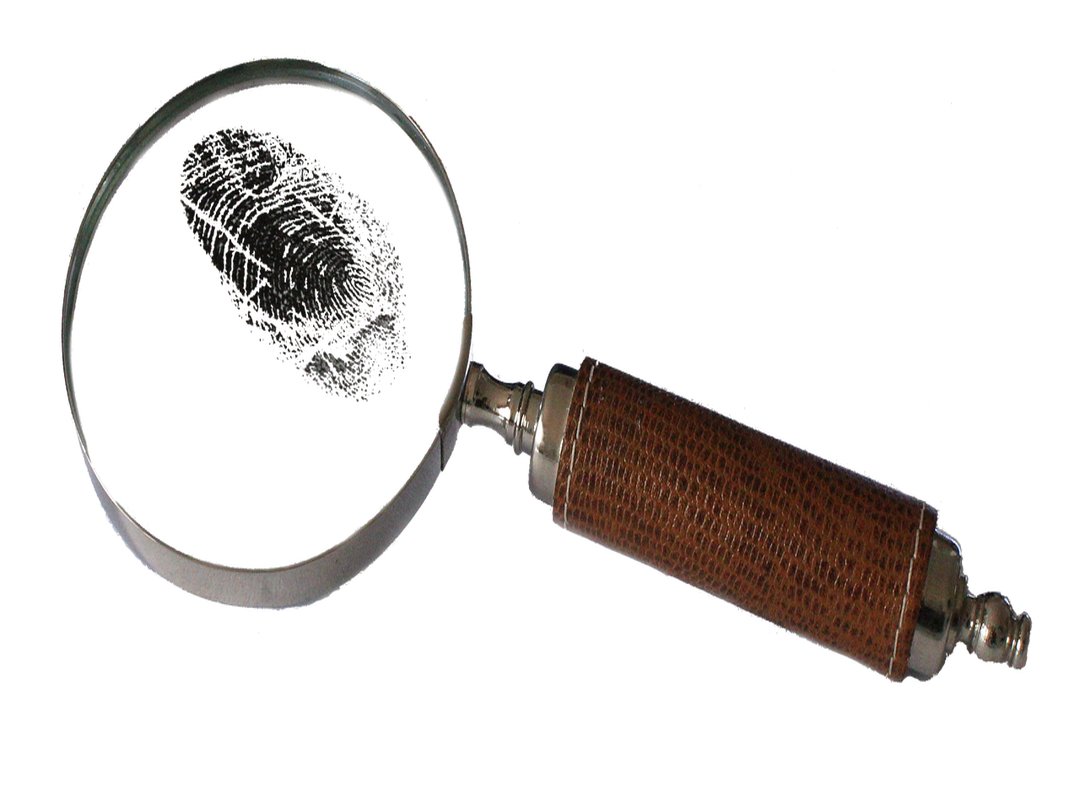 The Crime and the Discovery of the Selfie