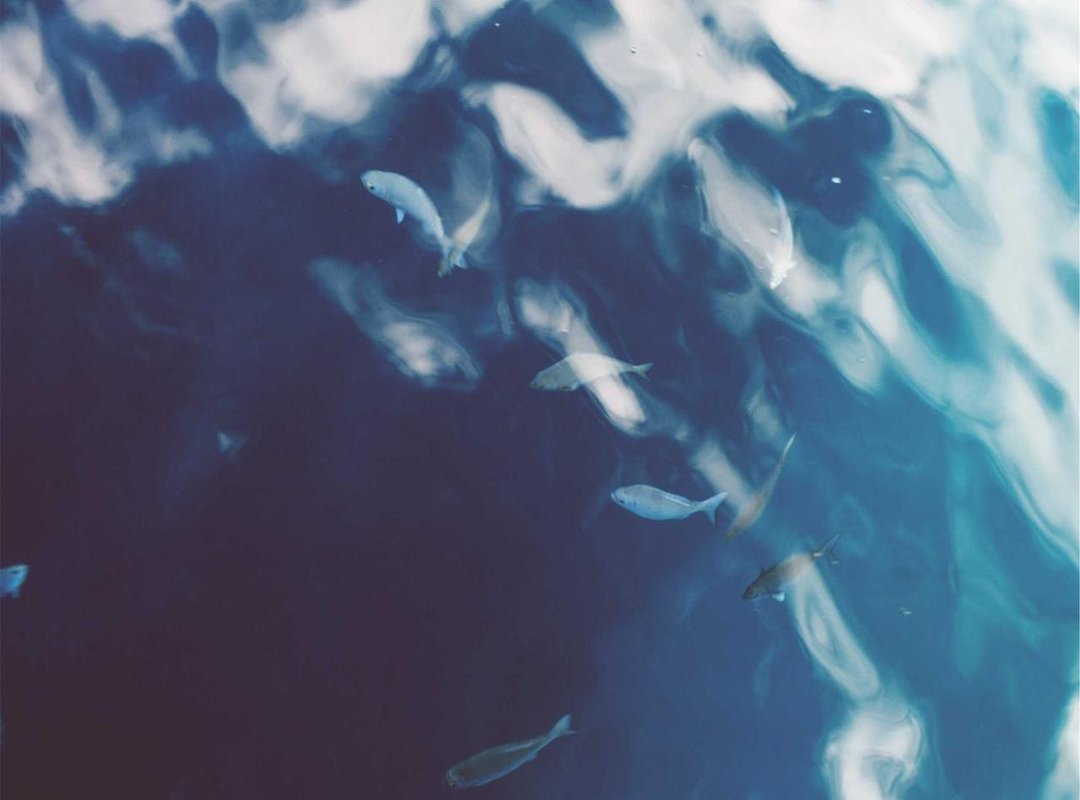 Planning Your Visit: Location, Hours, and Insider Tips