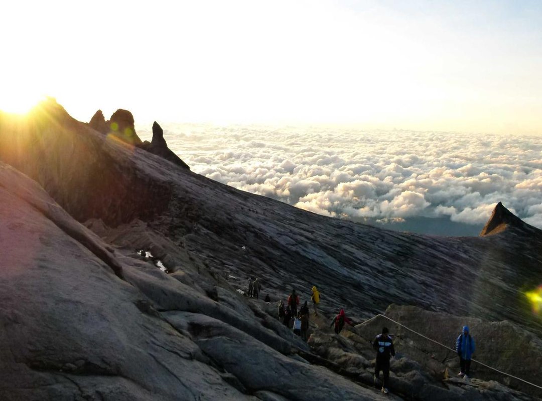 FAQs: Common Questions About the Match